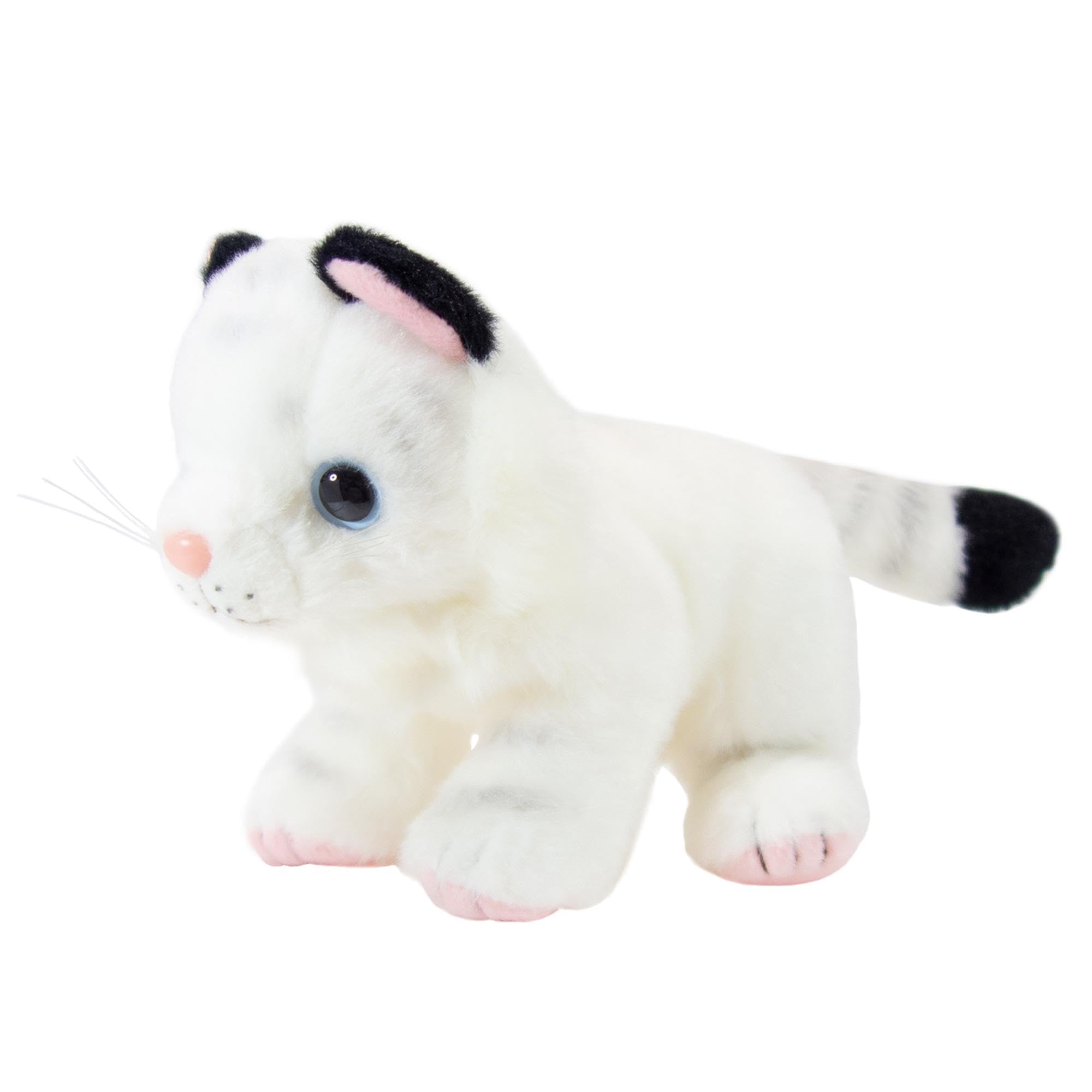 Amazon.co.jp: 動物ぬいぐるみ りくのなかまたち ホワイトタイガー